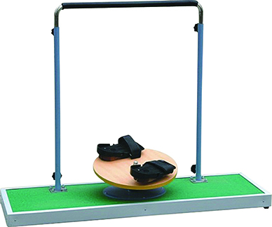 Hip Joint Rotation Trainer.jpg