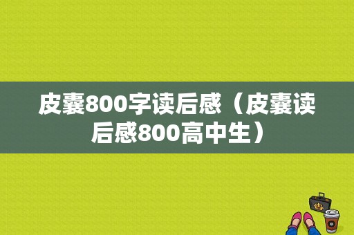 皮囊800字读后感（皮囊读后感800高中生）