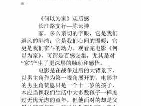 何以为家读后感作文（看完何以为家的感受300字）