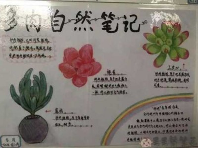 自然笔记读后感50字（自然笔记读后感50字三年级）