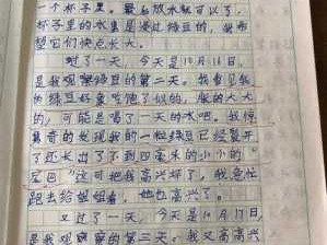 细心去观察读后感（关于细心观察的作文300字）