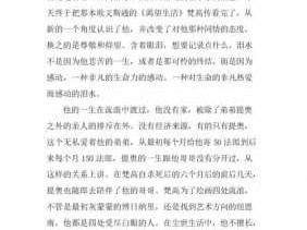 梵高读后感300字（梵高读后感一千字左右）