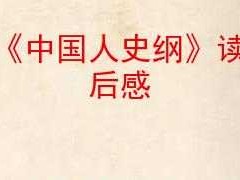 中国人史纲》读后感（中国人史纲 读后感）