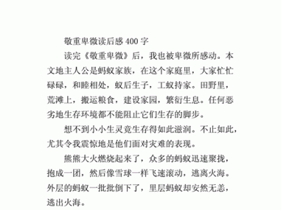 敬重卑微读后感100（敬重卑微读后感小学生作文）