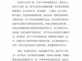 琵笆行读后感（琵琶行的读后感300字）