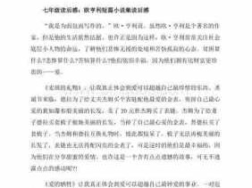 欧亨利短篇小说集读后感（欧亨利短篇小说集读后感800字）