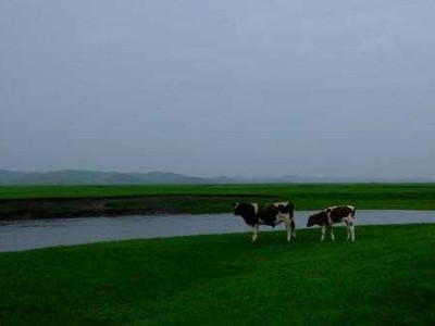 草原天气晴读后感（草原晴天和雨天的景色）