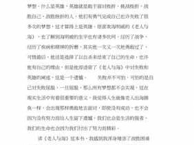 《决不放弃》读后感（决不放弃读后感300字）