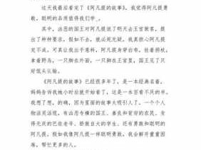 阿凡提读后感借树影（阿凡提借树荫的故事）