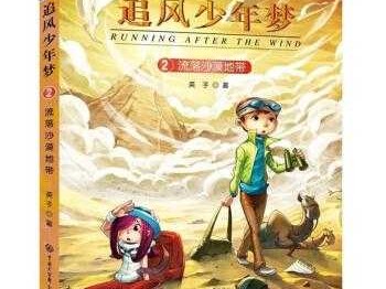 《追风少年》读后感（追风少年读后感800字）