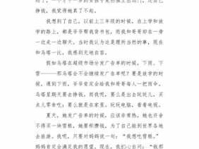 乌塔读后感的作文（读了乌塔你想到了什么）