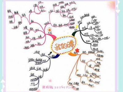 我的日常读后感（我的日常思维导图）