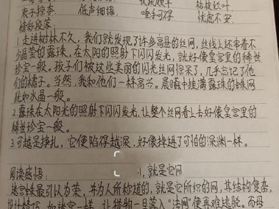 昆虫迷读后感650字（昆虫记读后感600字迷宫蛛）