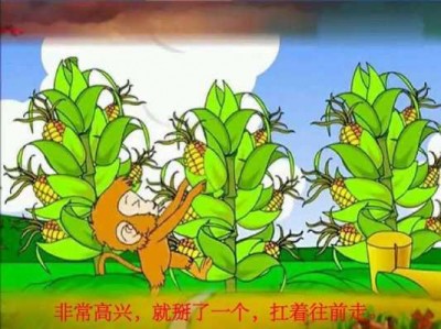 小猴子摘玉米读后感（小猴子摘玉米图画）