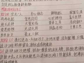 买小学大全记读后感（买小学大全记鲁迅）