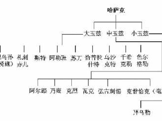 转场的哈萨克读后感（转场的哈萨克阅读理解答案）