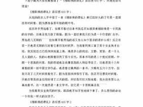 关于穆斯林的葬礼短读后感的信息