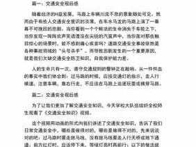 交通安全知识读后感（交通安全读后感500字2020）