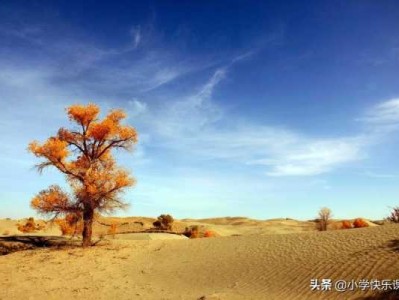 《走出沙漠》沈宏读后感（走出沙漠沈宏主要内容）