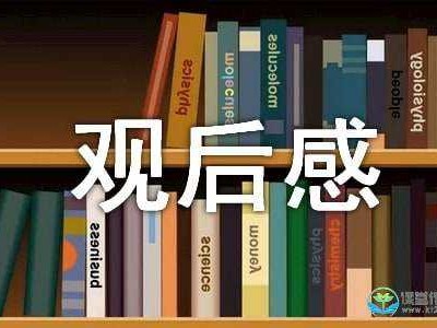 前任攻心记读后感（前任攻略观后感）