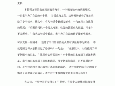 母爱读后感450字（母爱读后感500字）