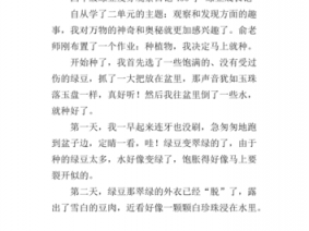 小绿豆成长记读后感（小绿豆成长记读后感300字）