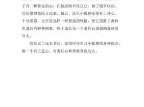 《小狐狸上学记》读后感（小狐狸的读后感）