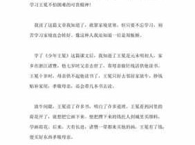 关于少年王冕读后感（少年王冕让我们感受到主人公什么样的精神和品德）