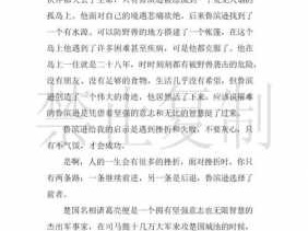 鲁兵孙漂流记书读后感600字（鲁兵孙漂流记得读后感400）