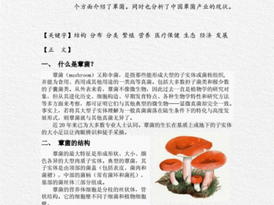 《中国蕈菌》读后感（中国蕈菌读后感300字）