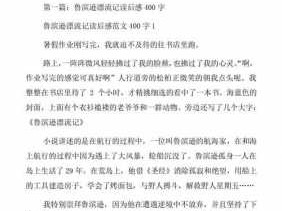 漂泊者读后感（漂泊者读后感100字）