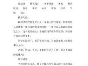 永不凋谢的玫瑰读后感（永不凋谢的玫瑰读后感450字作文）