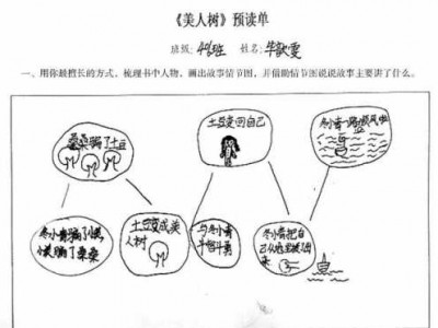 美人树汤汤读后感（美人树读后感300字）