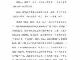 草房子读后感作文300（草房子读后感作文500字）