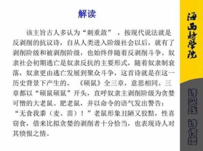 硕鼠读后感300字（硕鼠读后感500字）