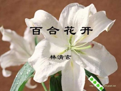 林清玄百合花开读后感（林清玄百合花开好词好句）