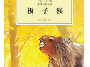 板子猴读后感150字（板子猴好词好句）