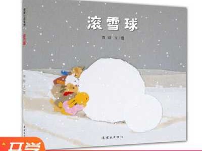 雪球事故的读后感（雪球的故事告诉我们什么?）