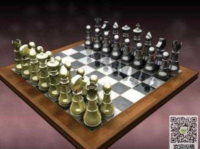 国际象棋入门读后感（国际象棋入门读后感100字）