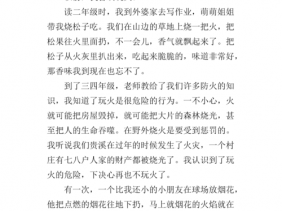 读后感自己在家不玩火（读后感自己在家不玩火作文）