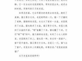 佛塔上的老鼠读后感（佛塔上的老鼠故事启示作文）