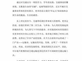 关于交通事故读后感的信息