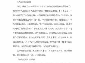 小马的选择读后感（小马这本书告诉我们了什么）