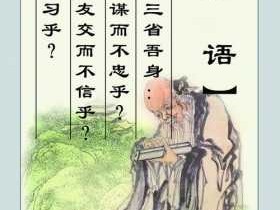 君子不器教师读后感（君子不器300字）