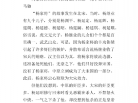 杨家将读后感优秀作文（杨家将读后感怎么写）