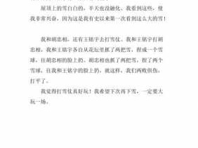 关于打雪仗的读后感（关于打雪仗的读后感100字）