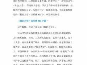 大学读后感450字（大学读后感300字大全15篇）