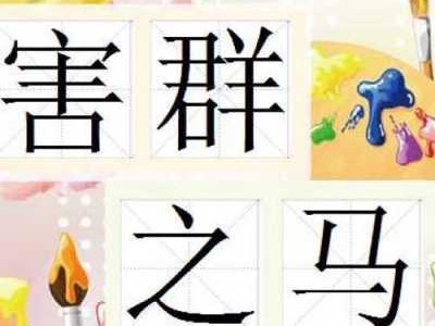 害群之马读后感20字（害群之马读后感30字）