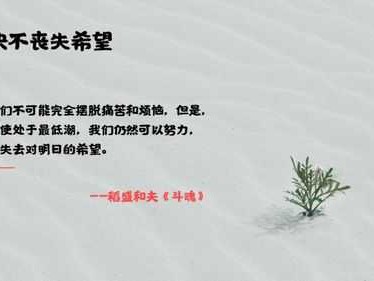 包含决不丧失希望读后感的词条