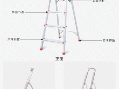 梯子周粲读后感（梯子读后感100字）